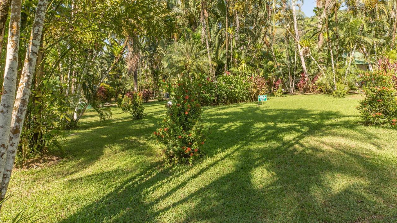 Hotel Villas Rio Mar Dominical Bagian luar foto
