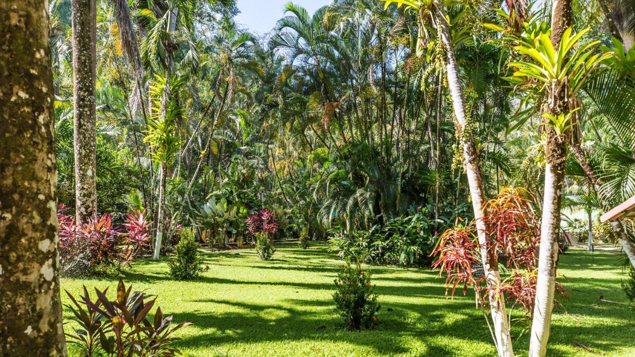 Hotel Villas Rio Mar Dominical Bagian luar foto